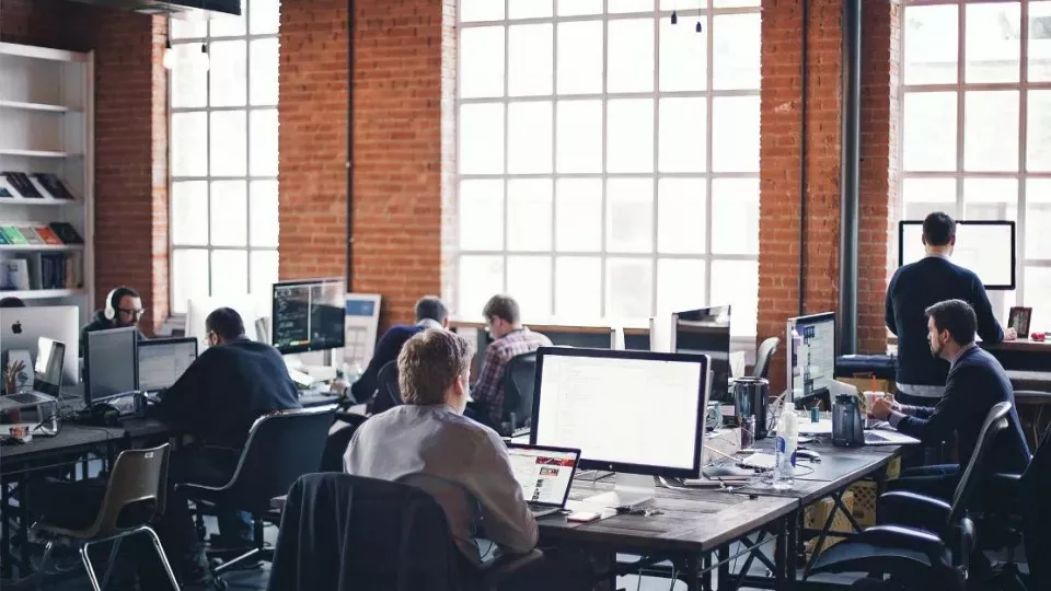 Как выбрать веб-студию в Нелидово по кейсам