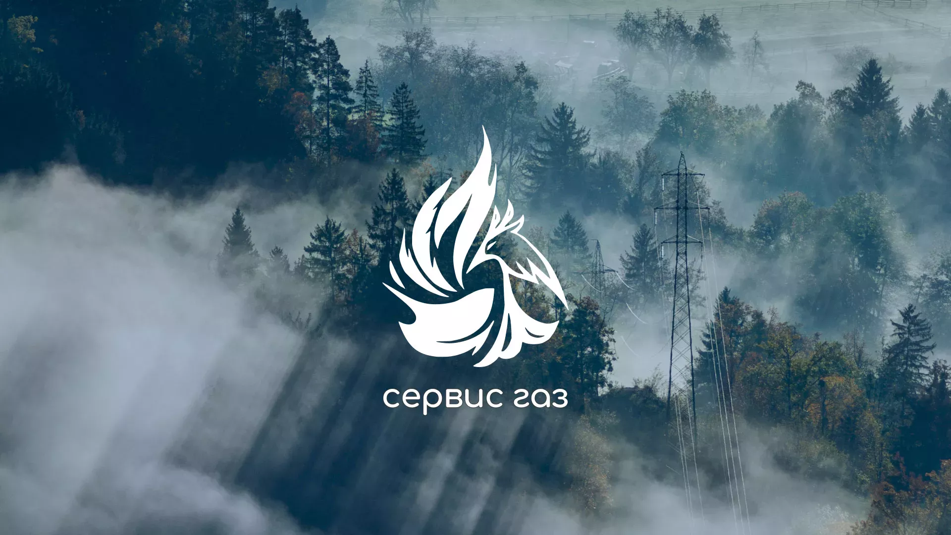 Создание сайта компании «Сервис газ» в Нелидово