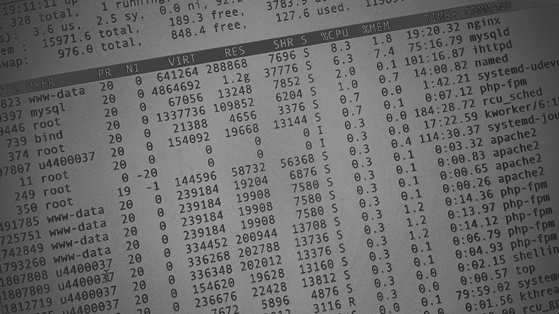 Настройка сервера в Нелидово Настройка сервера в Нелидово