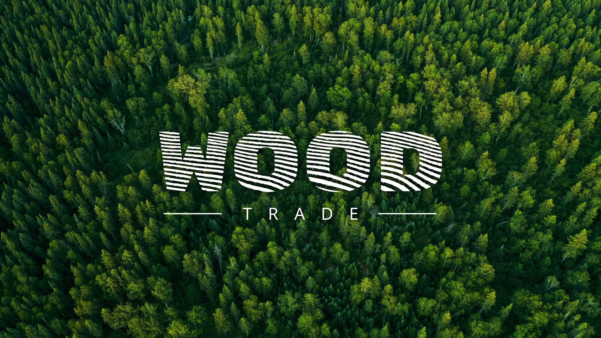 Разработка интернет-магазина компании «Wood Trade» в Нелидово