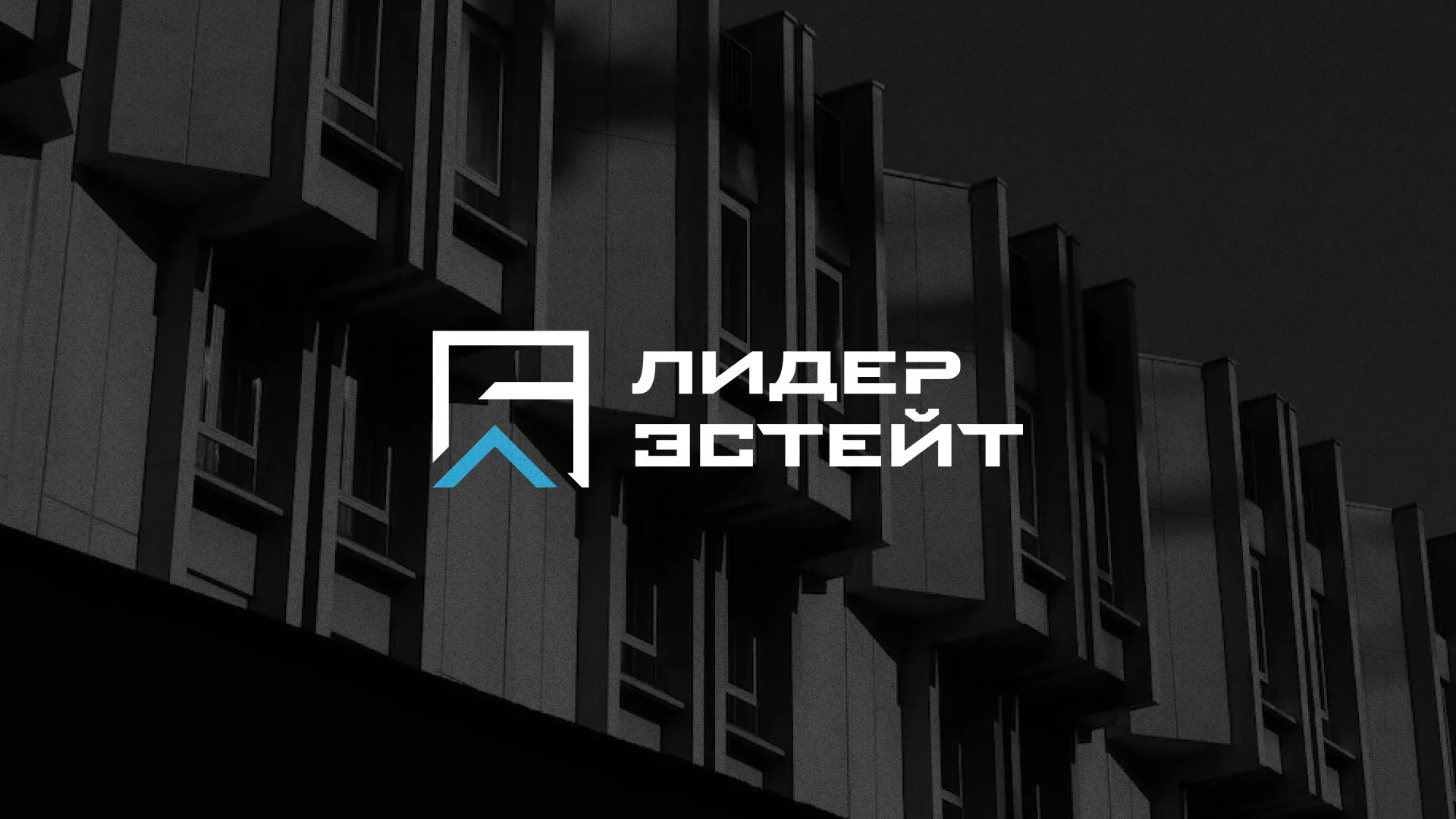 Разработка логотипа агентства недвижимости «Лидер Эстейт» в Нелидово